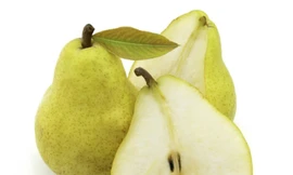 Ảnh minh họa: Internet