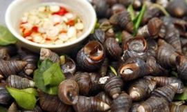 Ảnh minh hoạ: Internet