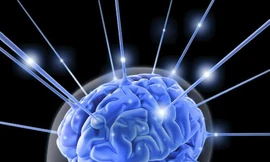 Ảnh minh họa: Internet