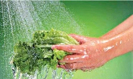 Ảnh minh họa: Internet