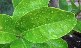 Ảnh minh họa: Internet