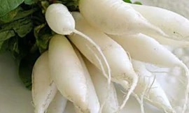 Ảnh minh họa: Internet