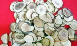 Ảnh minh họa: Internet