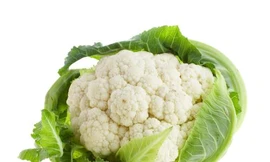 Ảnh minh hoạ: Internet