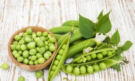 Ảnh minh hoạ: Internet