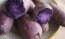 Ảnh minh họa: Internet