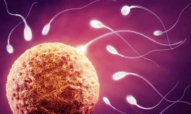 Ảnh minh họa: Internet