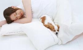 Ảnh minh họa: Internet