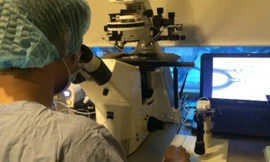 Mang thai hộ bằng hình thức thụ tinh trong ống nghiệm mở ra nhiều cơ hội cho các cặp vợ chồng hiếm muộn. Ảnh: Lê Phương.