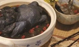 Ảnh minh hoạ: Internet