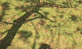 Ảnh minh họa: Internet