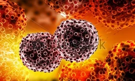 Ảnh minh họa: Internet