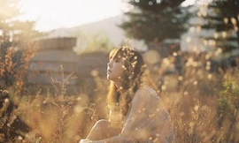 Ảnh minh hoạ: Internet