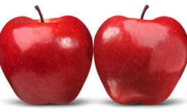 Ảnh minh họa: Internet