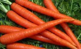 Ảnh minh họa: Internet