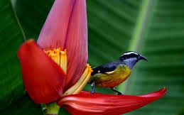 Ảnh minh họa: Internet