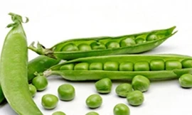 Ảnh minh hoạ: Internet