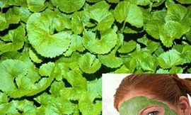 Ảnh minh hoạ: Internet