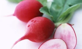 Ảnh minh họa: Internet