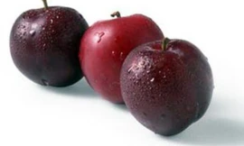 Ảnh minh họa: Internet