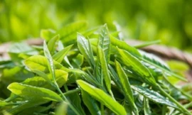 Ảnh minh họa: Internet