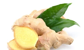 Ảnh minh hoạ: Internet