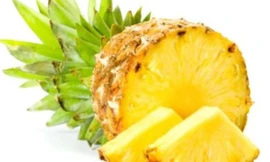 Ảnh minh họa: Internet