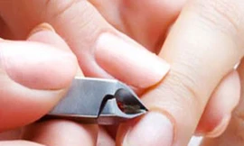 Ảnh minh hoạ: Internet