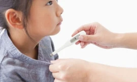 Ảnh minh hoạ: Internet