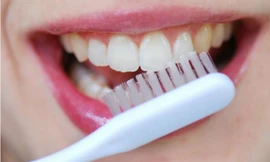 Ảnh minh họa: Internet