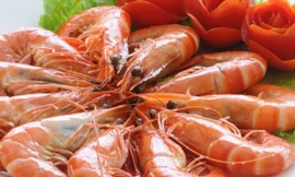 Ảnh minh họa: Internet