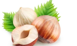 Ảnh minh họa: Internet