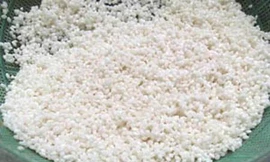 Ảnh minh họa: Internet