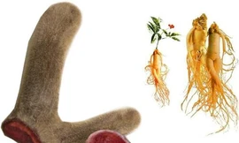 Ảnh minh hoạ: Internet