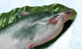 Ảnh minh họa: Internet