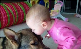 Ảnh minh họa: Internet