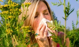 Ảnh minh họa: Internet