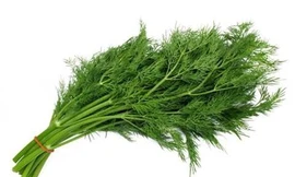 Ảnh minh hoạ: Internet