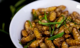 Ảnh minh hoạ: Internet