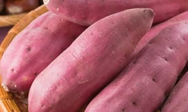 Ảnh minh hoạ: Internet