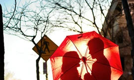 Ảnh minh họa: Internet