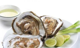 Ảnh minh hoạ: Internet