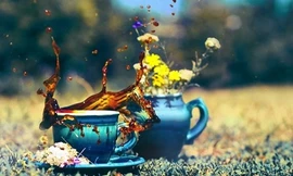 Ảnh minh họa: Internet