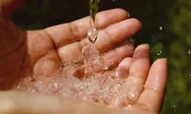 Ảnh minh hoạ: Internet