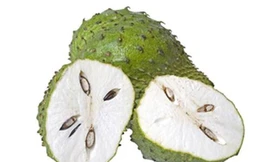 Ảnh minh họa: Internet