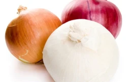 Ảnh minh hoạ: Internet