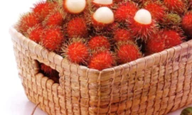 Ảnh minh họa: Internet