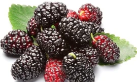 Ảnh minh họa: Internet