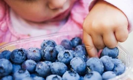 Ảnh minh họa: Internet