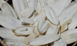 Ảnh minh họa: Internet